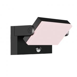 30030PIR